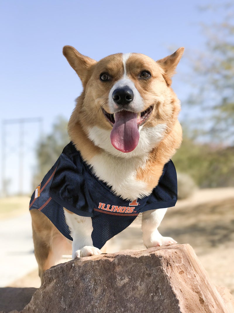 Pets First NCAA College Illinois Fighting Illini Mesh Jersey for DOGS & CATS, Small.Licensed Dog Jersey with your Favorite Football/Basketball College Team - Image 4